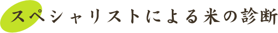 スペシャリストによる米の診断