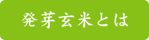 発芽玄米とは