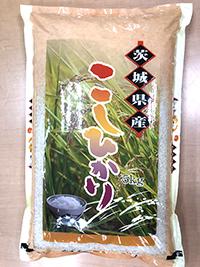 茨城県産こしひかり