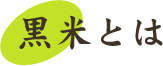 発芽玄米とは