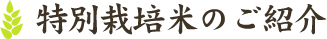 特別栽培米のご紹介